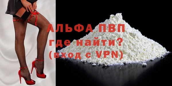 PSILOCYBIN Козельск