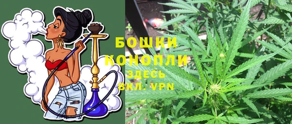 PSILOCYBIN Козельск