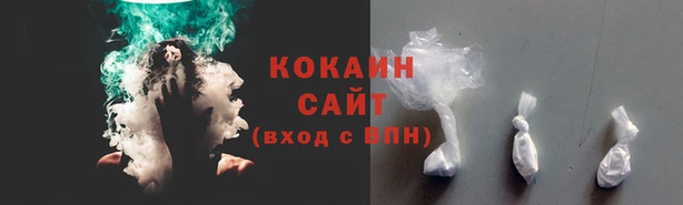 хмурый Корсаков