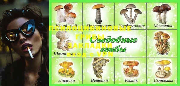 PSILOCYBIN Козельск