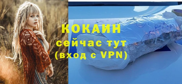 apvp Кодинск