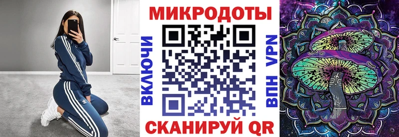 Псилоцибиновые грибы GOLDEN TEACHER  Купить закладки  Бородино 